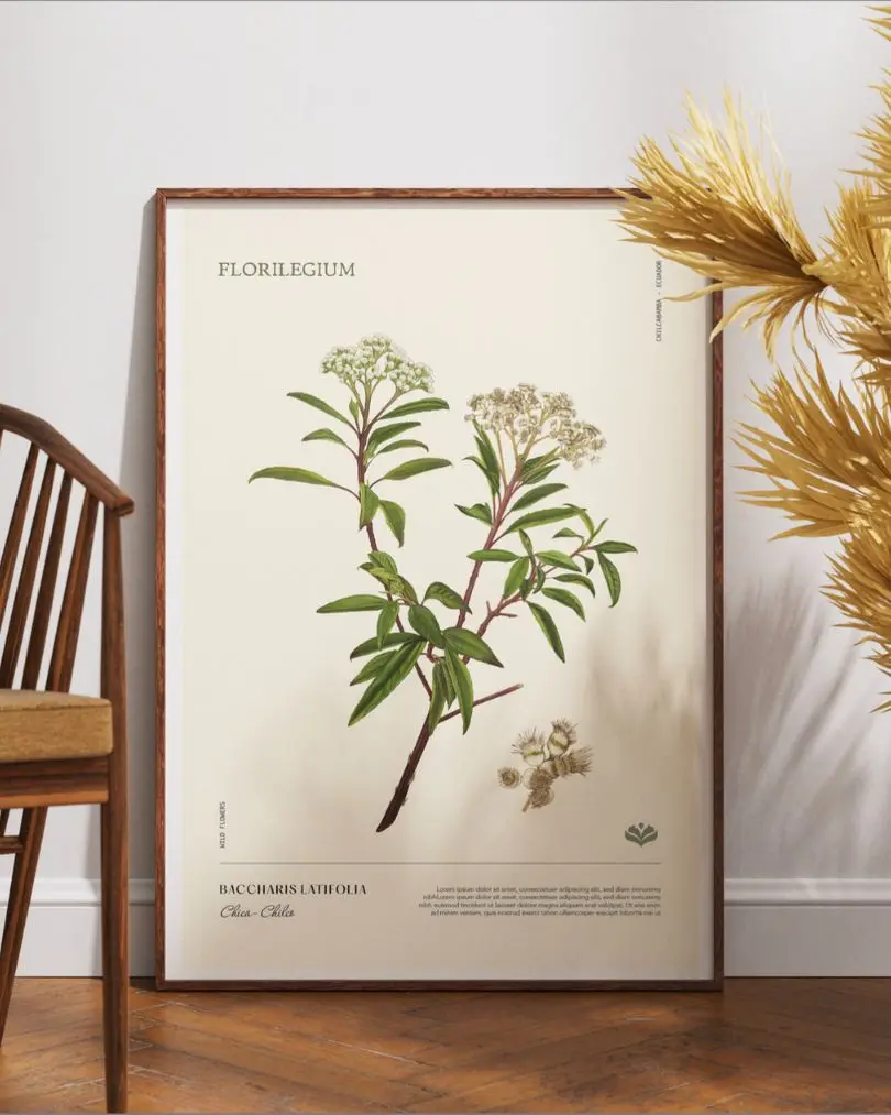 Afiches botánicos